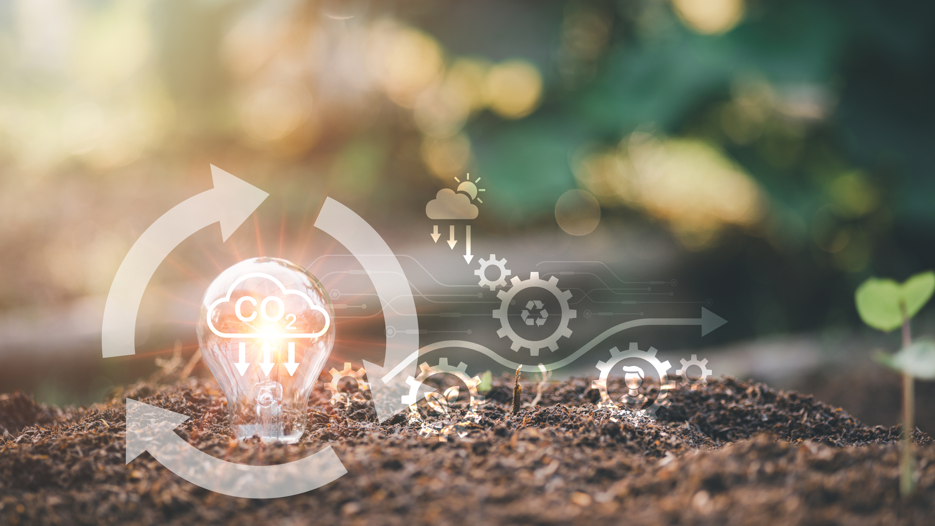 light bulb in the soil, nature background, environmental protect